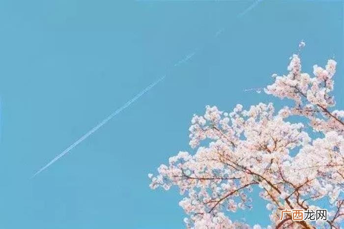 简单生活唯美的句子 生活简单美好的句子