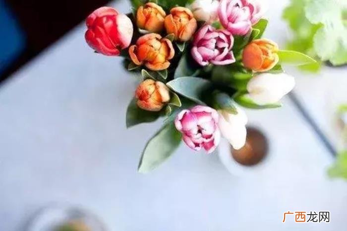 简单生活唯美的句子 生活简单美好的句子