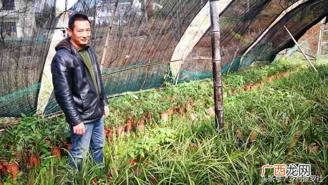 农村如何创业致富，未来有哪些冷门专业！