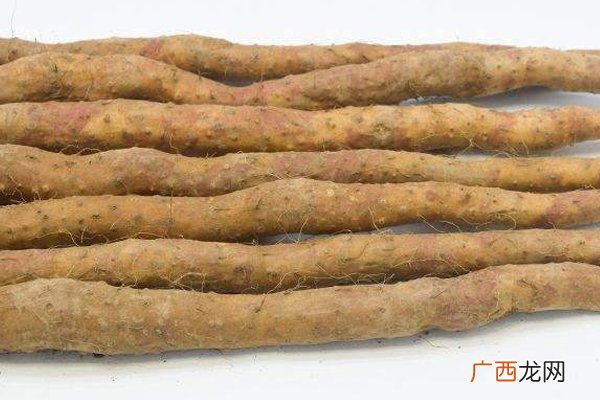 哪种山药适合炖汤细长的铁棍山药