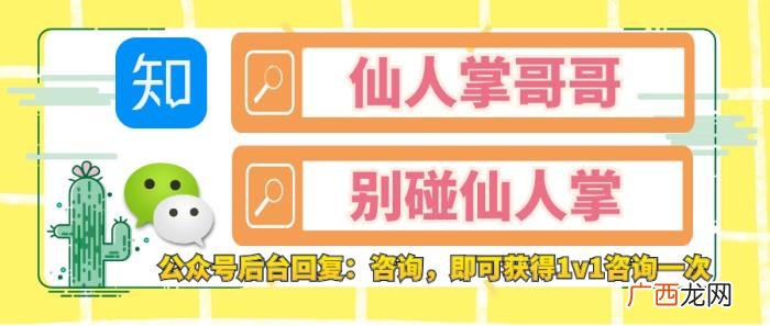 爆发性分手男生心理，男生为什么突然提分手
