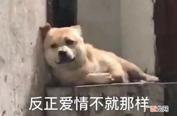 最狠的分手是不辞而别，分手能狠到什么程度