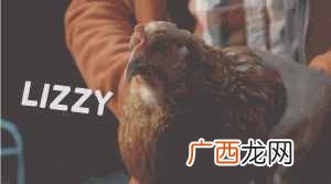 鸡头稳定原理是什么，鸡头稳定神器！