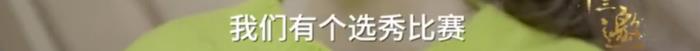 李宇春冠军，李宇春、薇娅同时拿了选秀冠军......