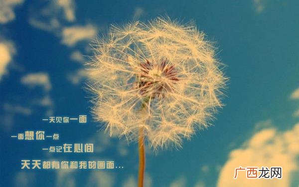 爱是一种境界，最高境界的爱是灵魂之爱