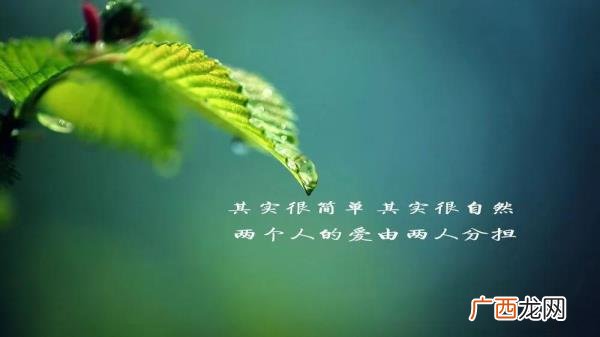 爱是一种境界，最高境界的爱是灵魂之爱