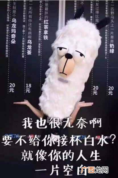 丧茶加盟费要多少钱，丧茶加盟有哪些条件！