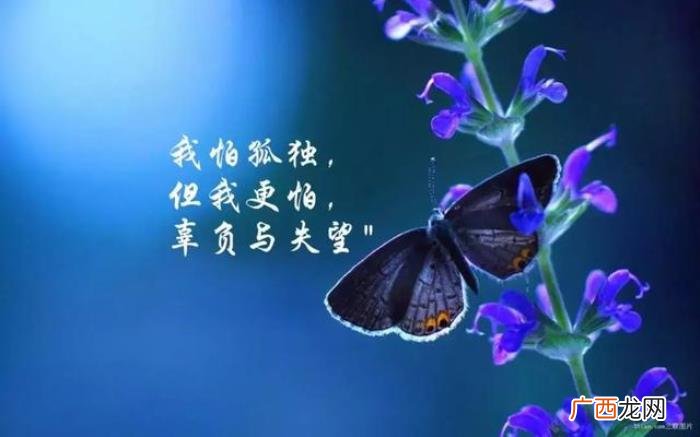 深夜致自己的正能量句子 深夜致自己的说说