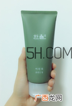 韩律艾草洗面奶怎么样_成分