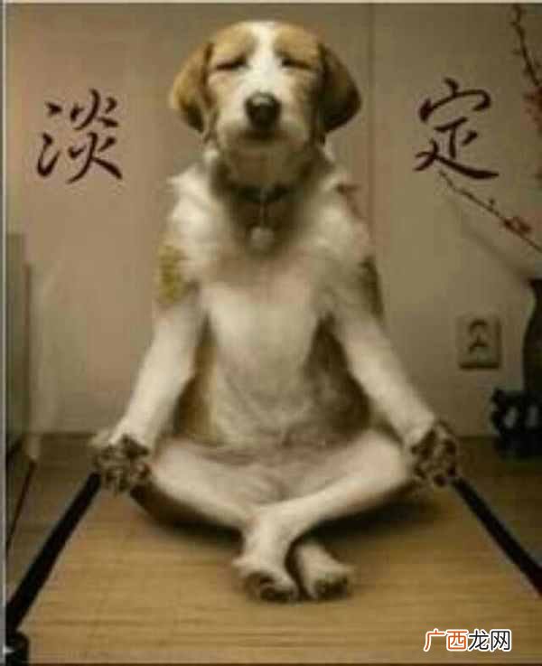 解密com域名注册1元的陷阱