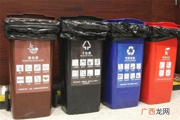 垃圾分类查询平台叫什么什么网站可以查垃圾分类
