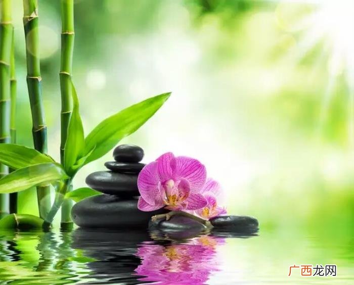 每一句都是人生哲理 看透生死的哲理句子