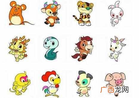 2018今年是什么年，今年属什么生肖！