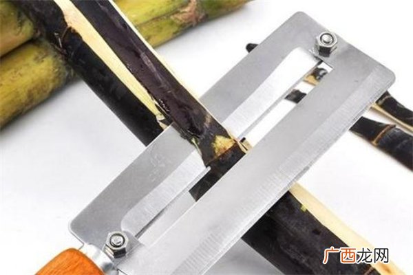 甘蔗皮属于什么垃圾甘蔗皮是干垃圾还是湿垃圾