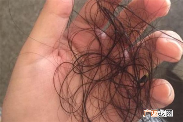 掉落的头发是什么垃圾碎头发是干垃圾还是湿垃圾