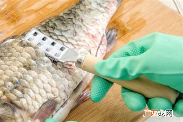 鱼鳞属于什么垃圾鱼鳞是湿垃圾吗