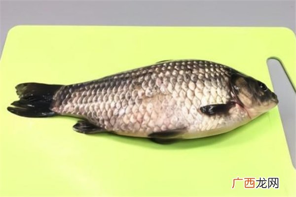 鱼鳞属于什么垃圾鱼鳞是湿垃圾吗
