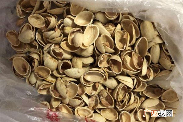 开心果壳是什么垃圾开心果壳是湿垃圾还是干垃圾
