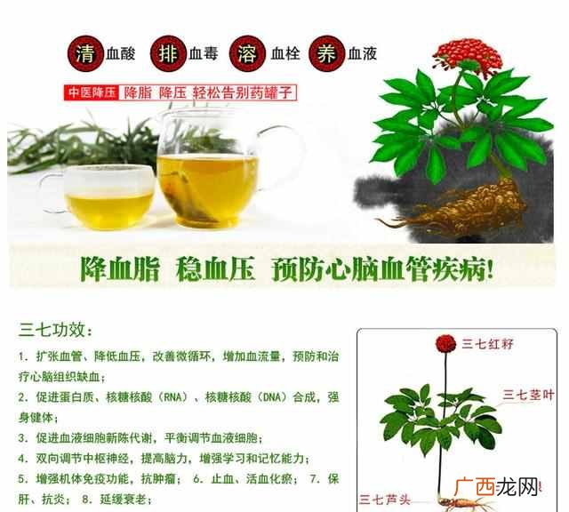 田七粉的功效与作用及食用方法，女人吃田七粉