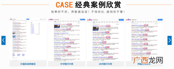 万词霸屏技术（秒杀市面所有百度霸屏服务公司