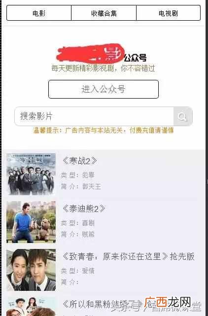 暴力涨粉赚钱项目：免广告vip电影网站赚钱方法