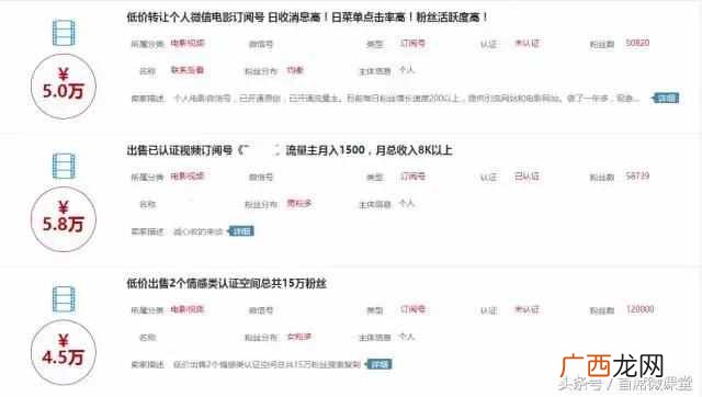 暴力涨粉赚钱项目：免广告vip电影网站赚钱方法