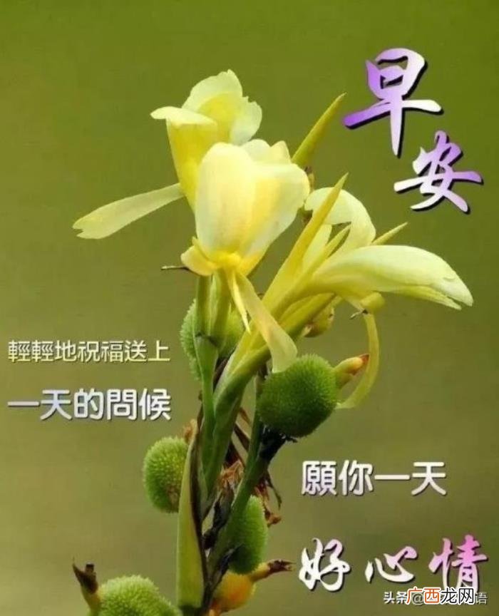磕磕碰碰的爱，能经得起磕磕碰碰的爱
