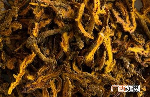 黄连可以直接泡水喝吗黄连泡水喝为什么会拉肚子
