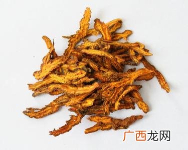 黄连可以直接泡水喝吗黄连泡水喝为什么会拉肚子