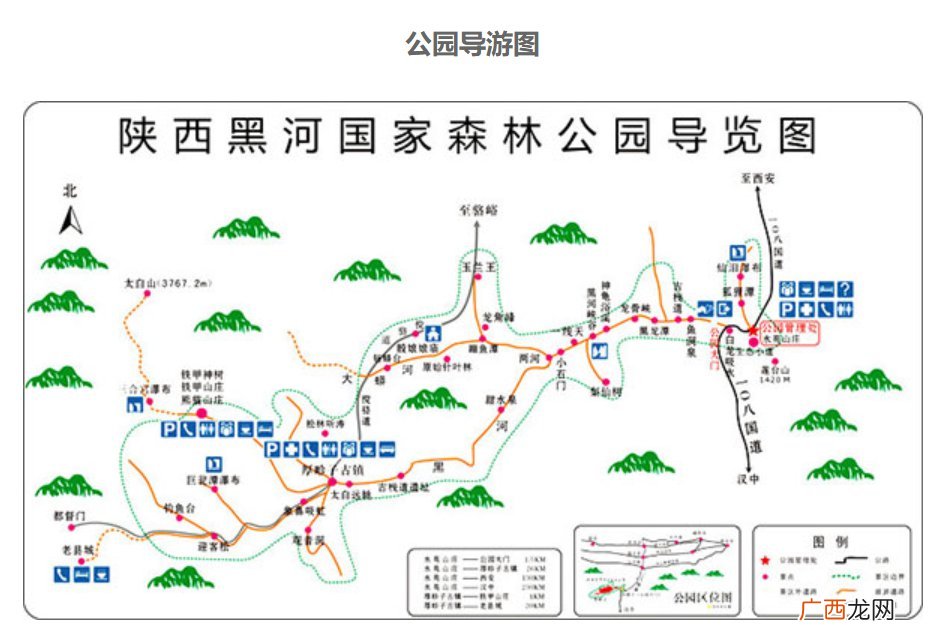 西安哪里可以看玉兰花