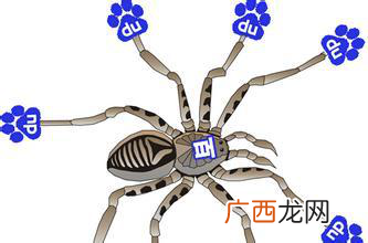 百度蜘蛛抓取规则,如何模拟百度蜘蛛抓取！
