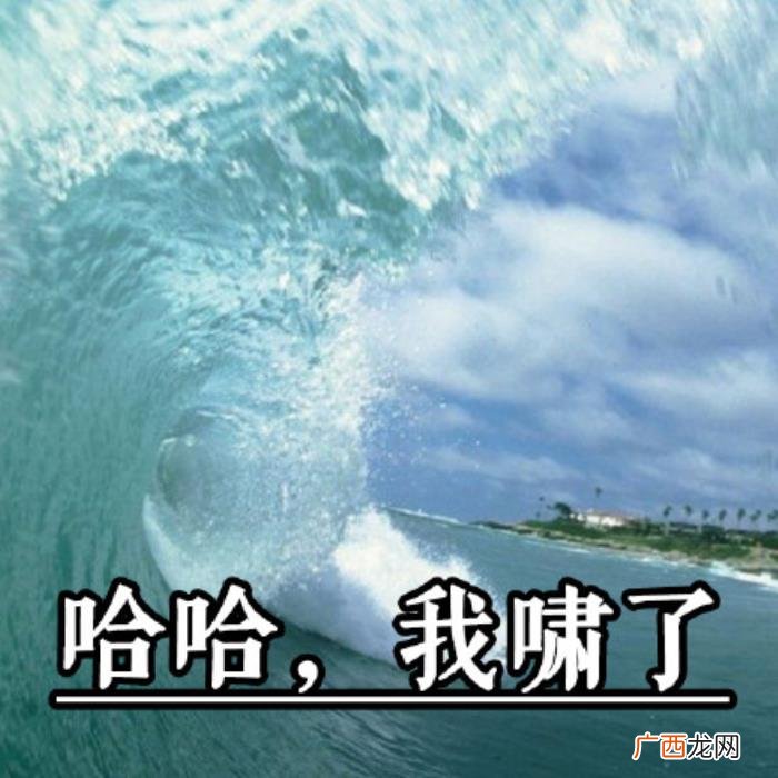 热门搞笑表情包50张 网络最火搞笑图片