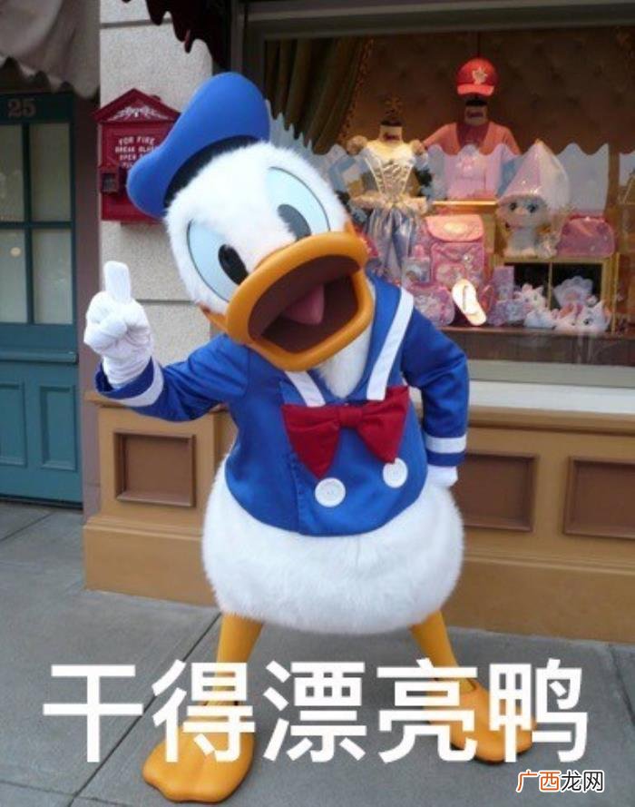 热门搞笑表情包50张 网络最火搞笑图片