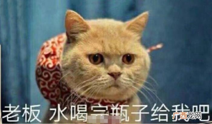 热门搞笑表情包50张 网络最火搞笑图片