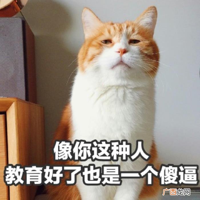 热门搞笑表情包50张 网络最火搞笑图片