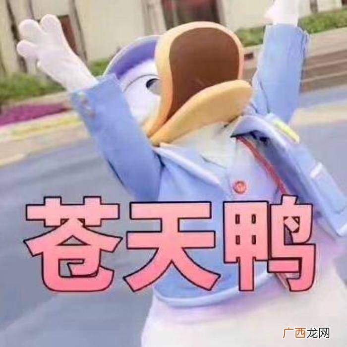 热门搞笑表情包50张 网络最火搞笑图片