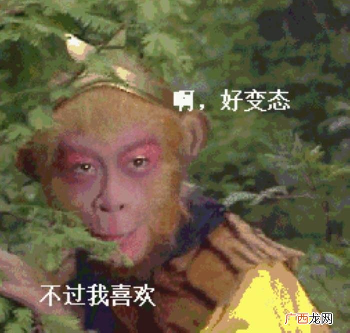 热门搞笑表情包50张 网络最火搞笑图片