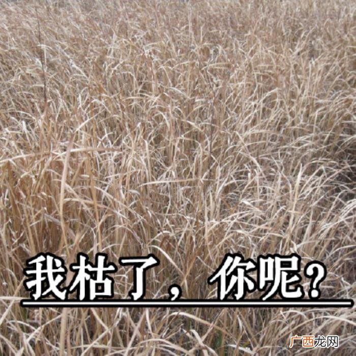 热门搞笑表情包50张 网络最火搞笑图片