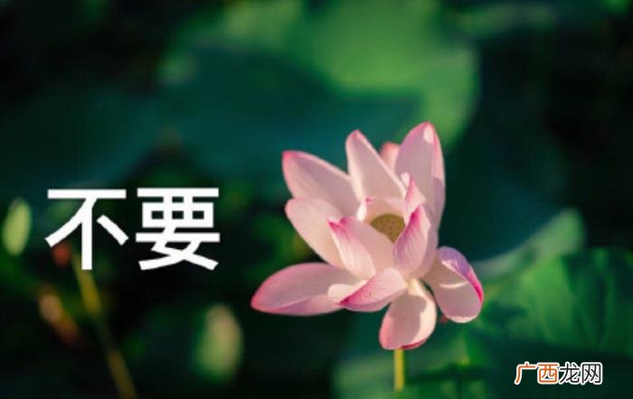 热门搞笑表情包50张 网络最火搞笑图片