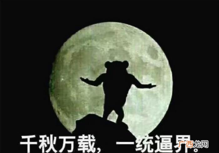 热门搞笑表情包50张 网络最火搞笑图片