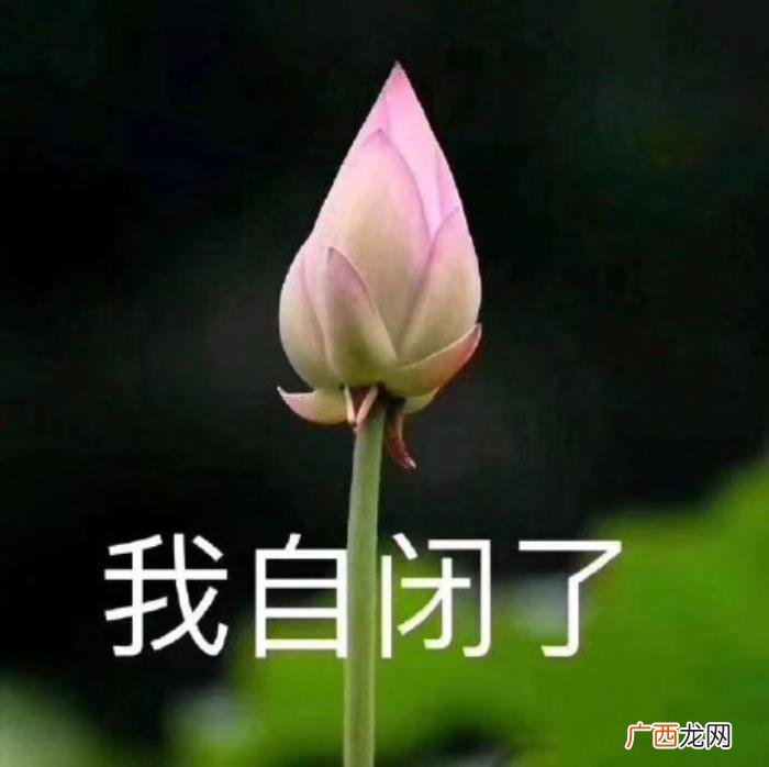 热门搞笑表情包50张 网络最火搞笑图片