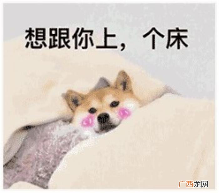 热门搞笑表情包50张 网络最火搞笑图片