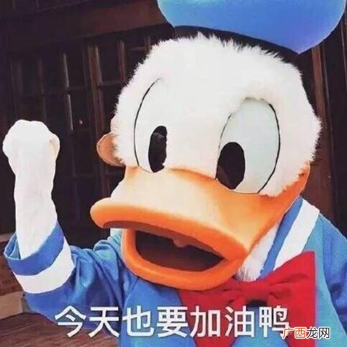 热门搞笑表情包50张 网络最火搞笑图片