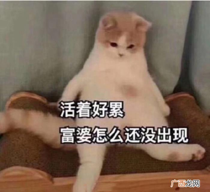 热门搞笑表情包50张 网络最火搞笑图片