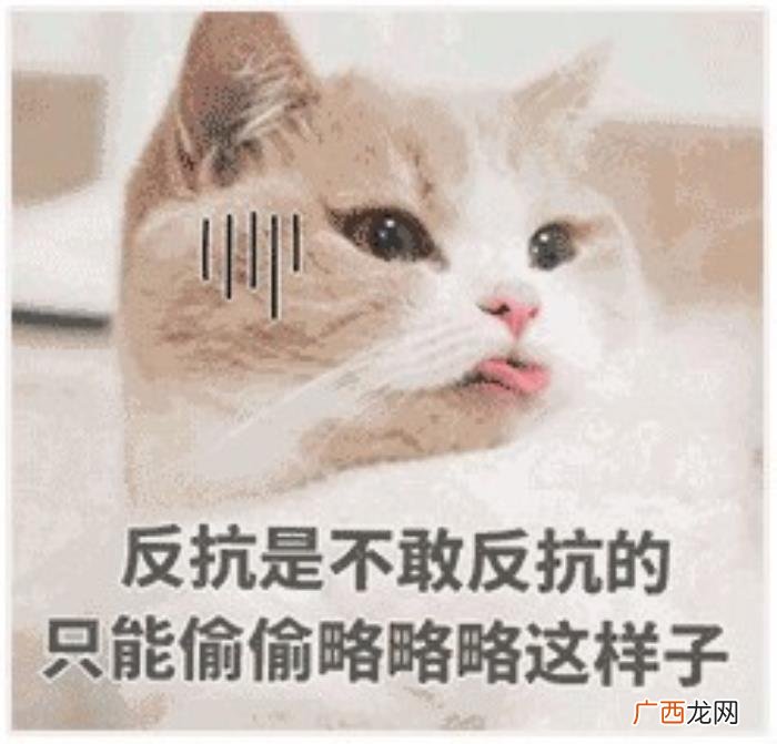 热门搞笑表情包50张 网络最火搞笑图片