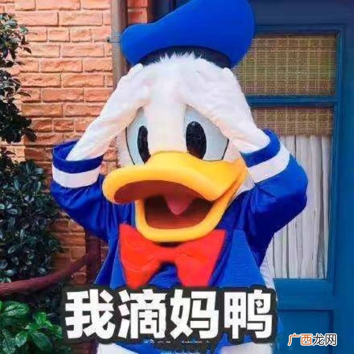 热门搞笑表情包50张 网络最火搞笑图片