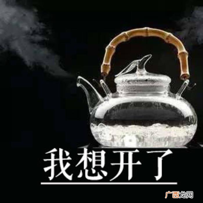 热门搞笑表情包50张 网络最火搞笑图片
