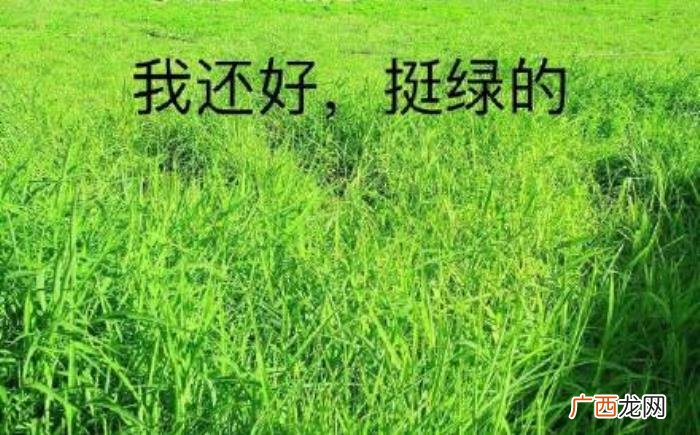 热门搞笑表情包50张 网络最火搞笑图片