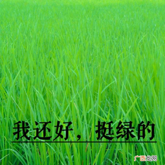 热门搞笑表情包50张 网络最火搞笑图片