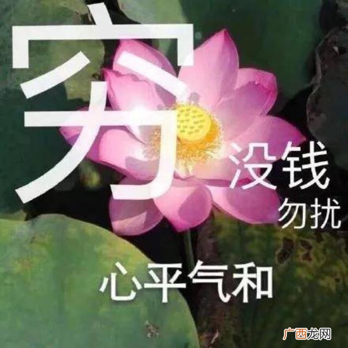 热门搞笑表情包50张 网络最火搞笑图片